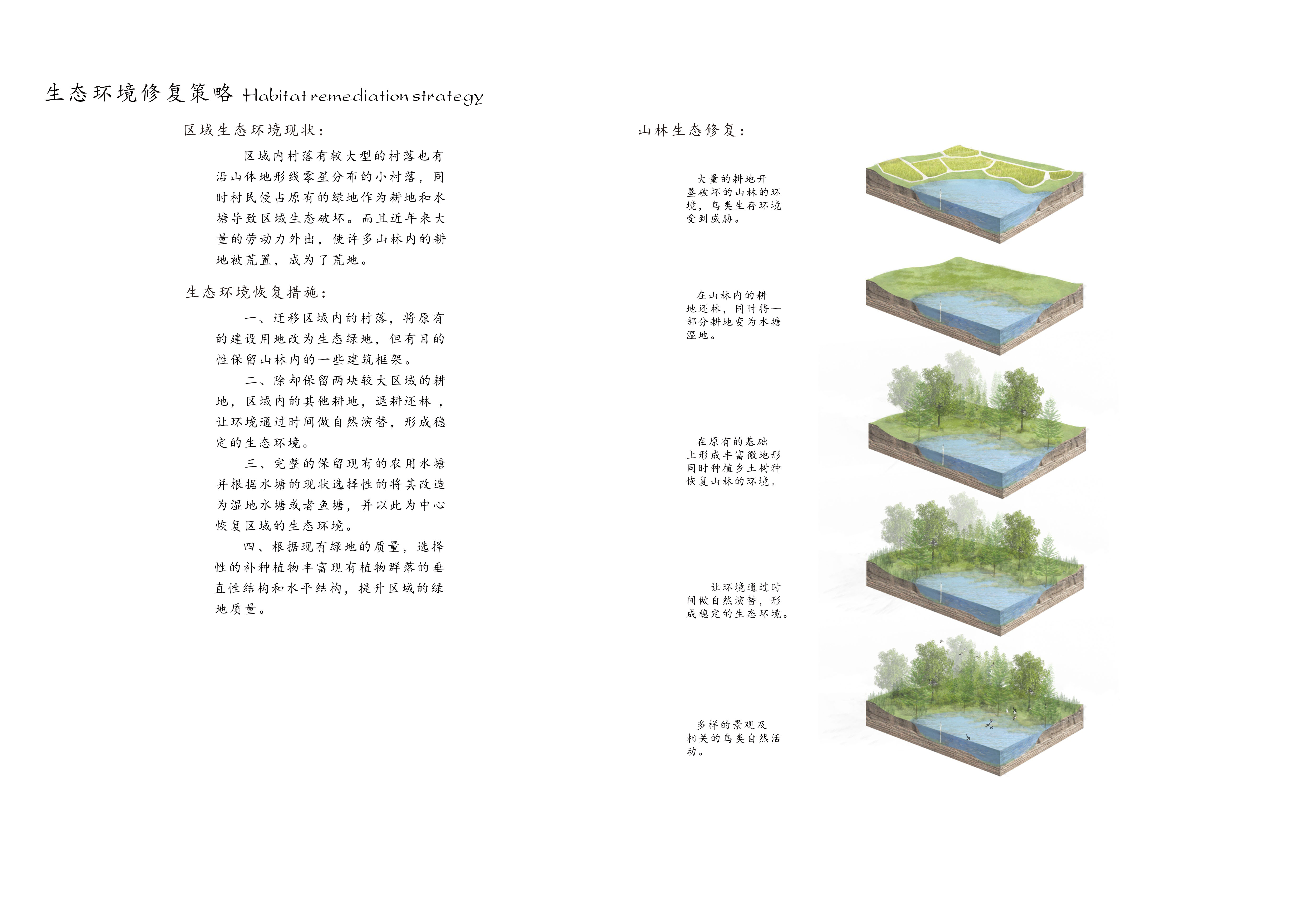 巢·归--衡阳江口鸟洲景观规划设计_艾景奖2023官方网站