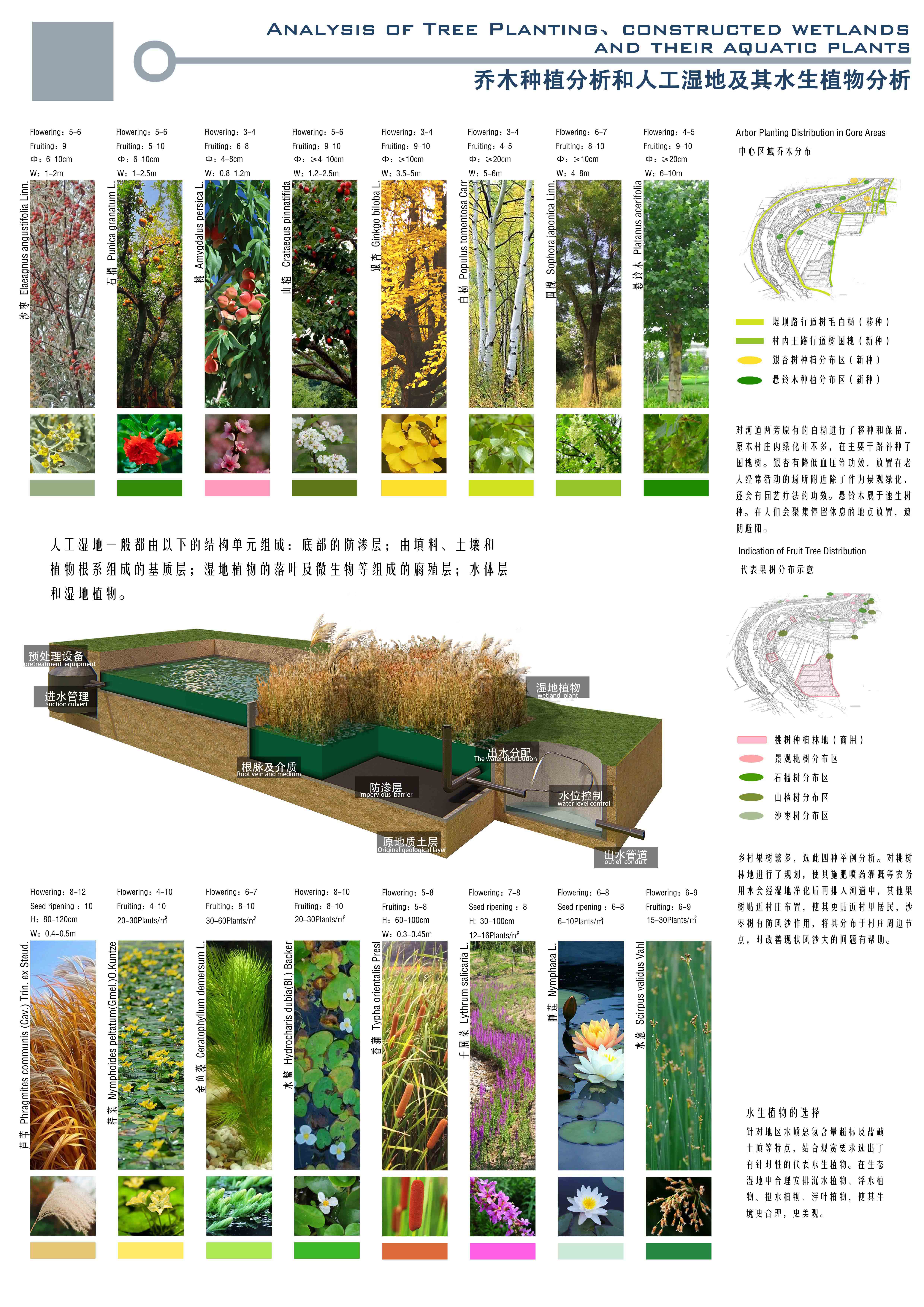 南运河沿线乡村海绵体修复与景观重构研究_艾景奖官方网站